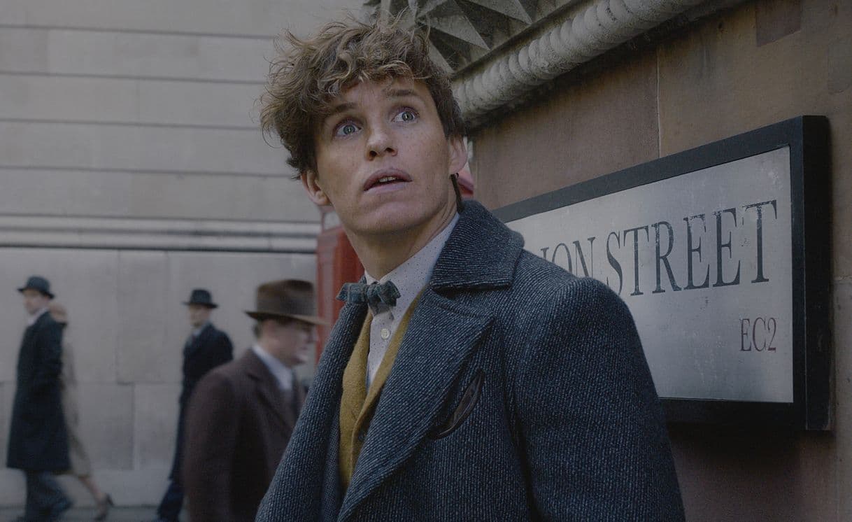 Moda Newt Scamander 