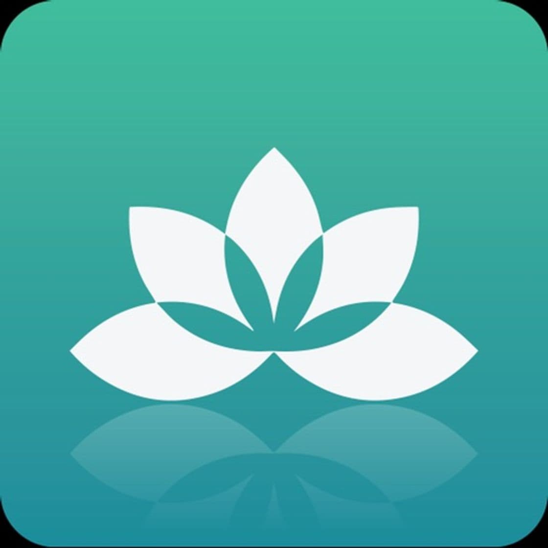 App Yoga Studio: Mind & Body