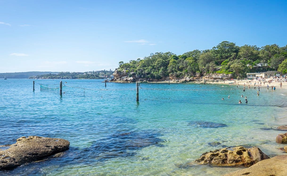 Lugar Shark Beach