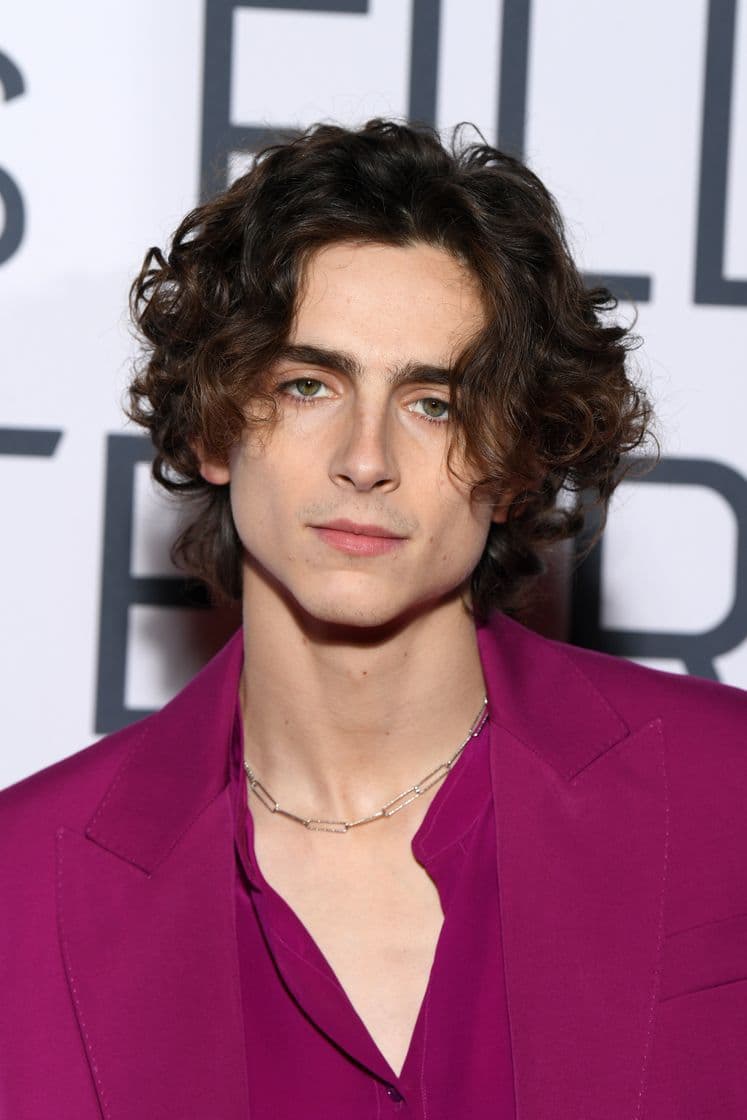 Moda Timothée Chalamet