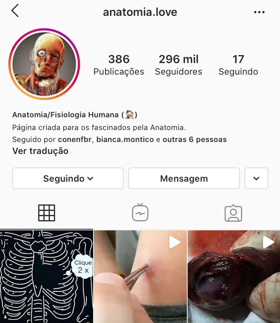 Moda Perfil anatomia