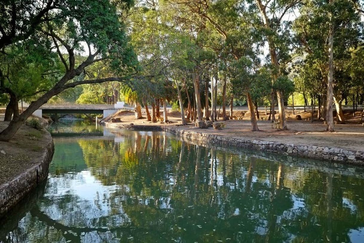 Place Parque de Merendas da Comenda