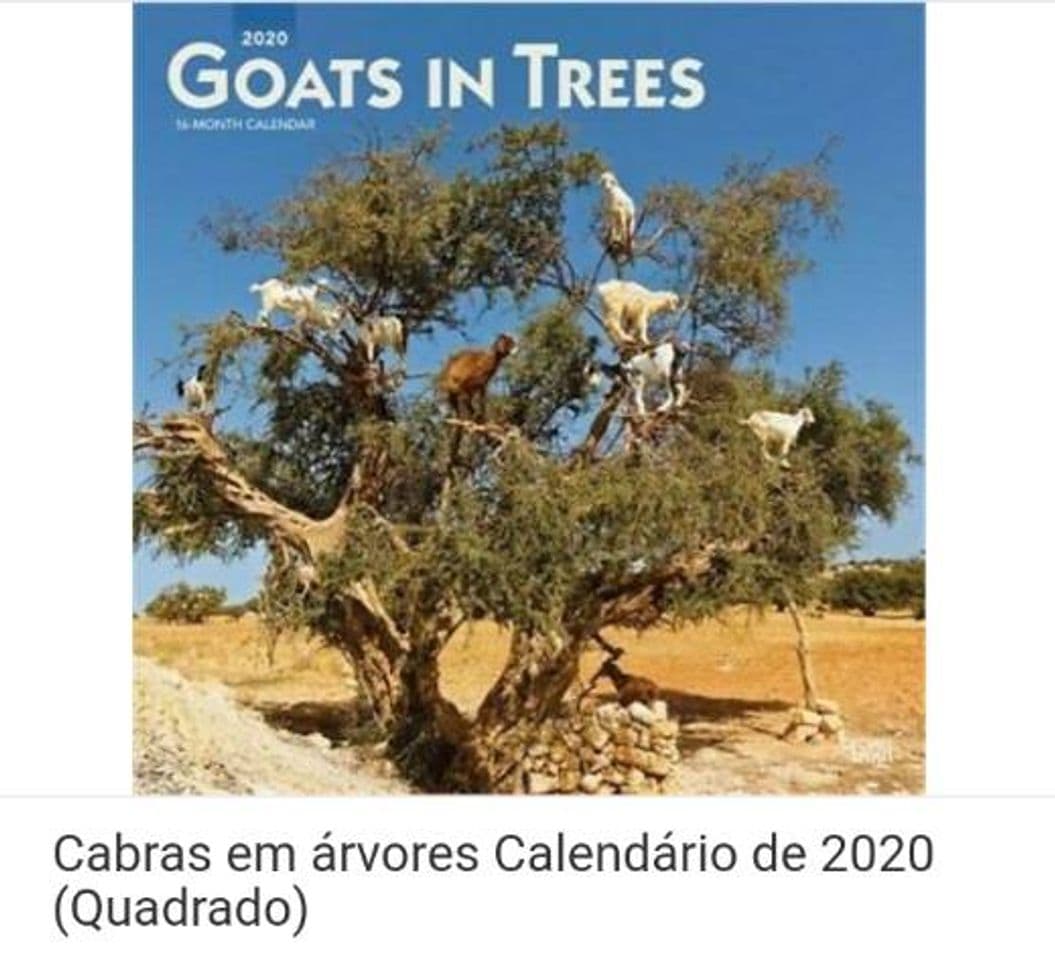 Fashion Calendário de cabras em cima da árvore