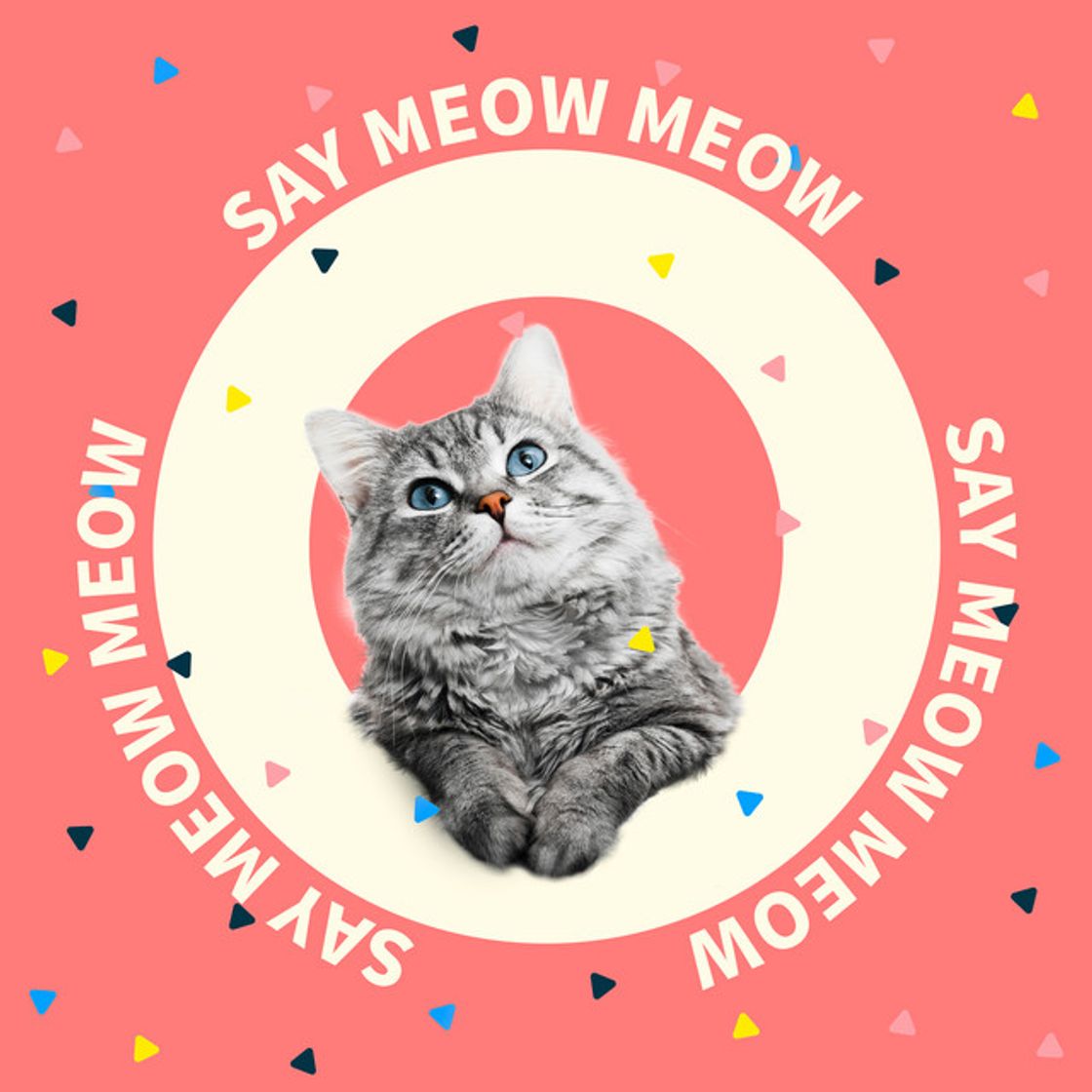 Canción Say Meow Meow - 歌曲《學貓叫》英文版