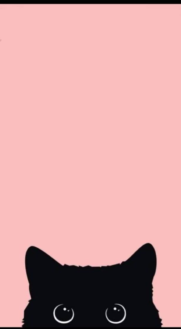 Fashion Fondo de pantalla rosa con gatito negro 