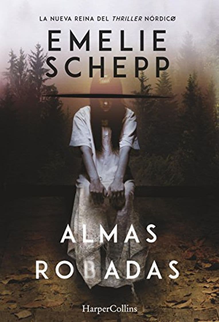 Book Almas robadas