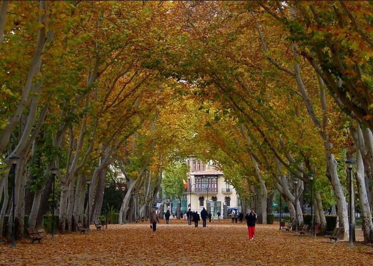 Lugar Parque Urbano Abelardo Sánchez