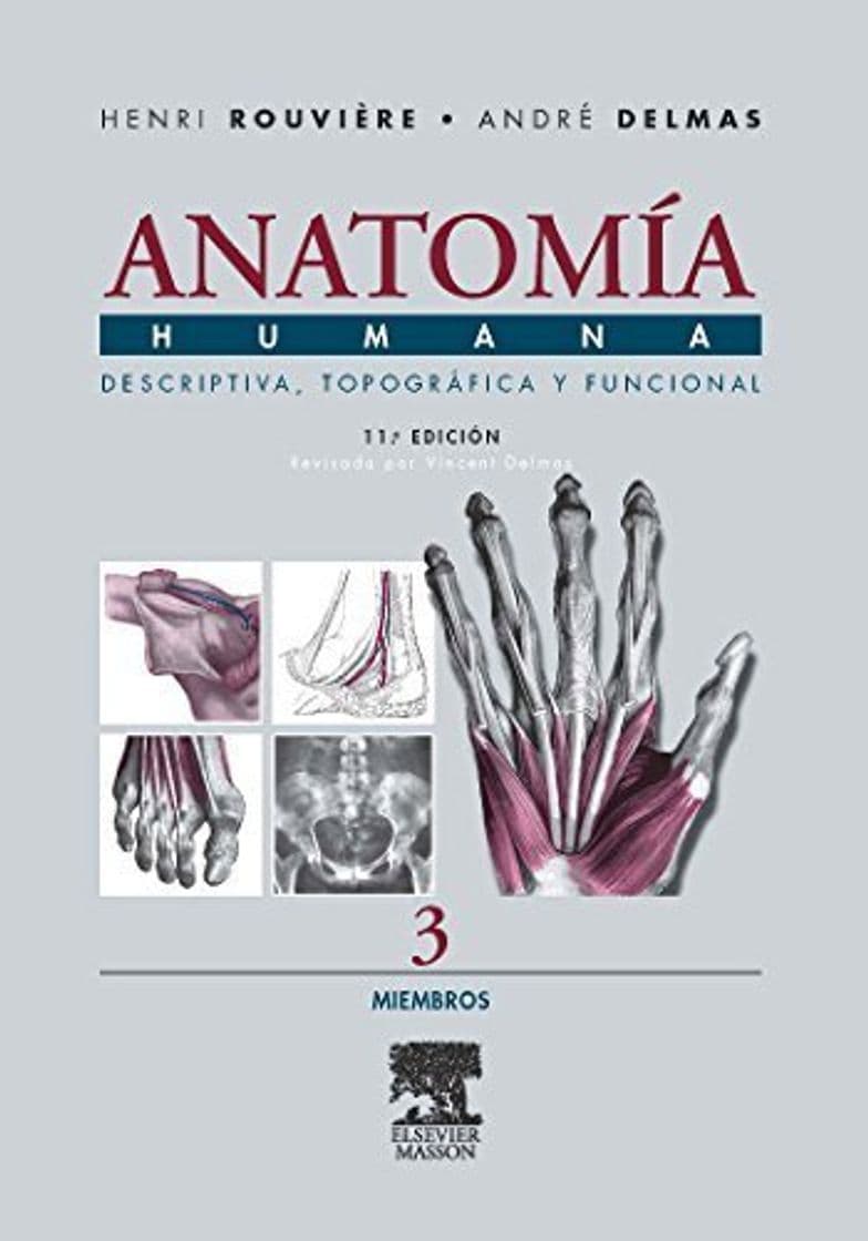 Libro Anatomia Humana Descriptiva, topografica y funcional. Tomo 3. Miembros