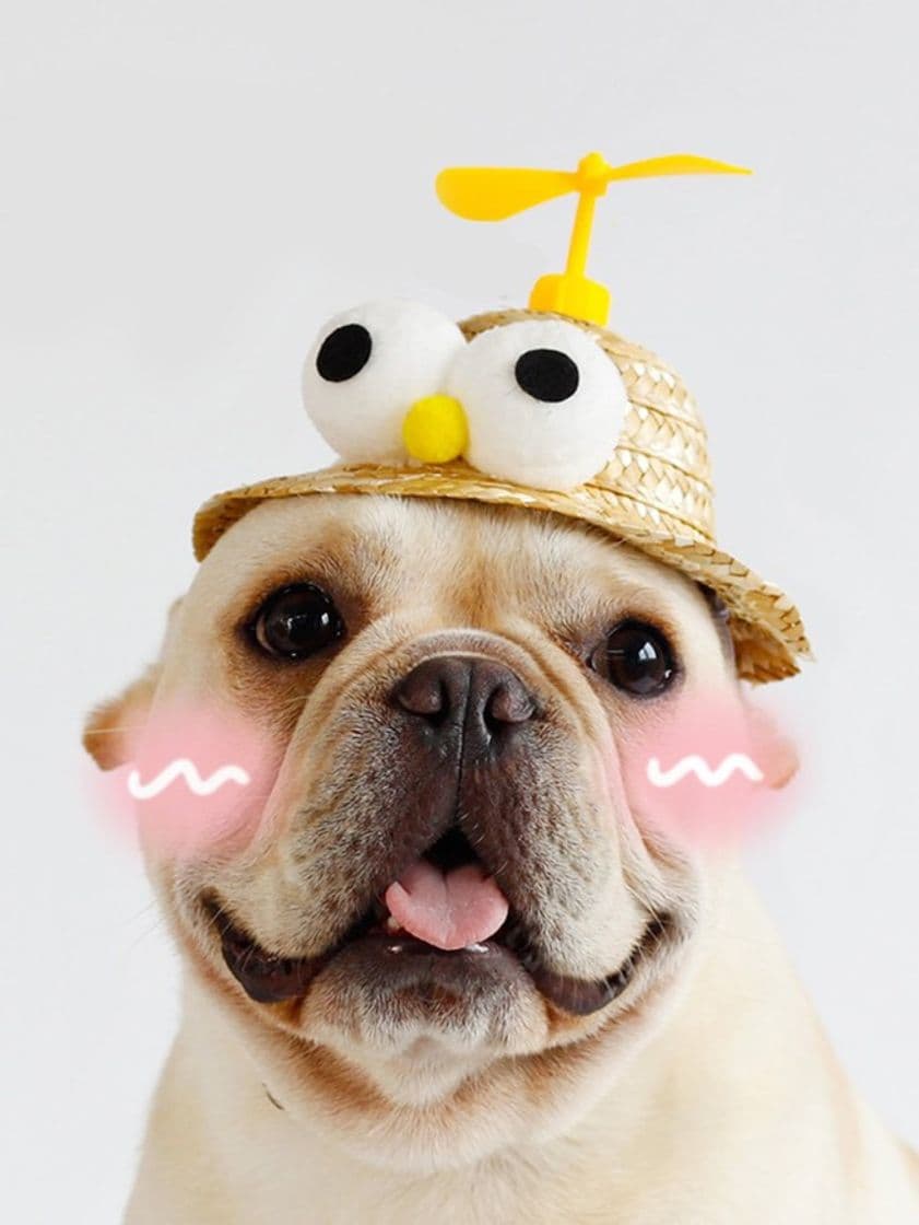 Producto Sombrero para perro gracioso con ojos de pompon 