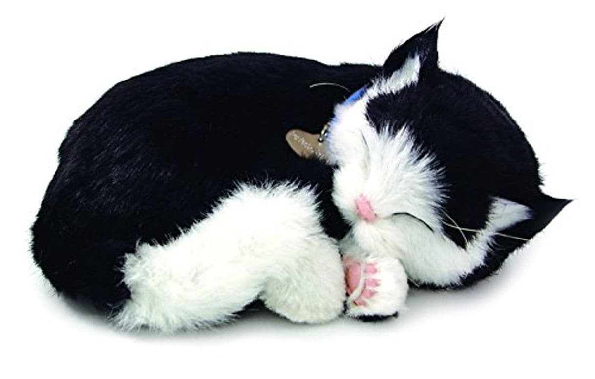 Producto Cd3 - Gato de Peluche