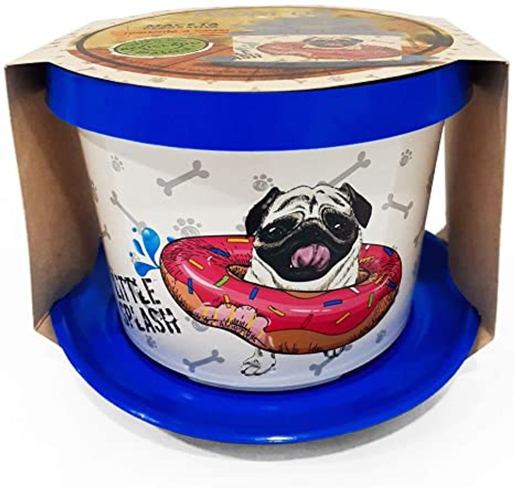 Producto Oben maceta colección pug 