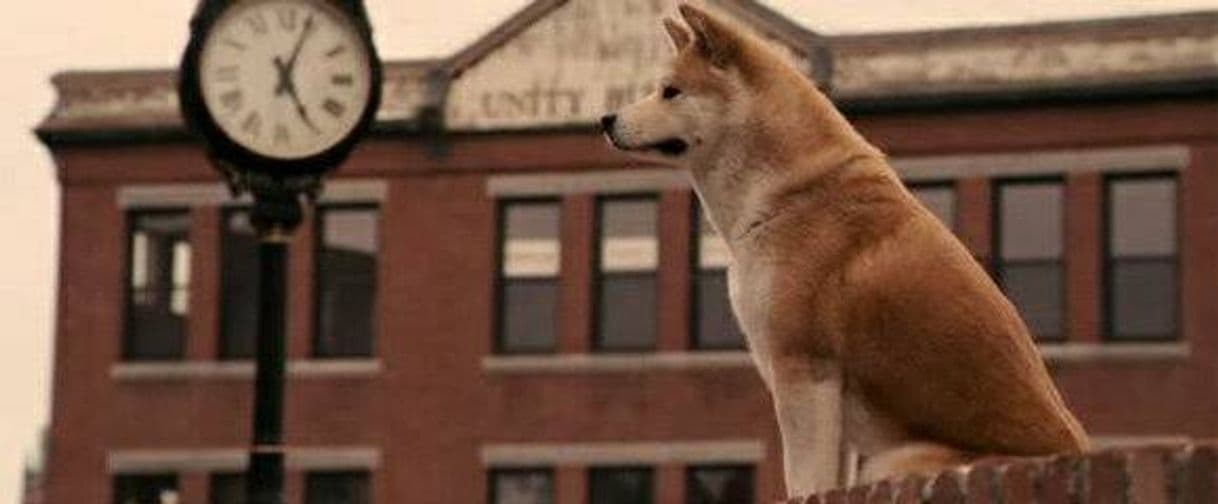 Película Hachi: A Dog's Tale