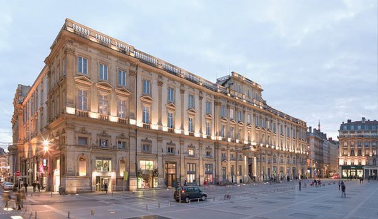 Place Museo de Bellas Artes de Lyon