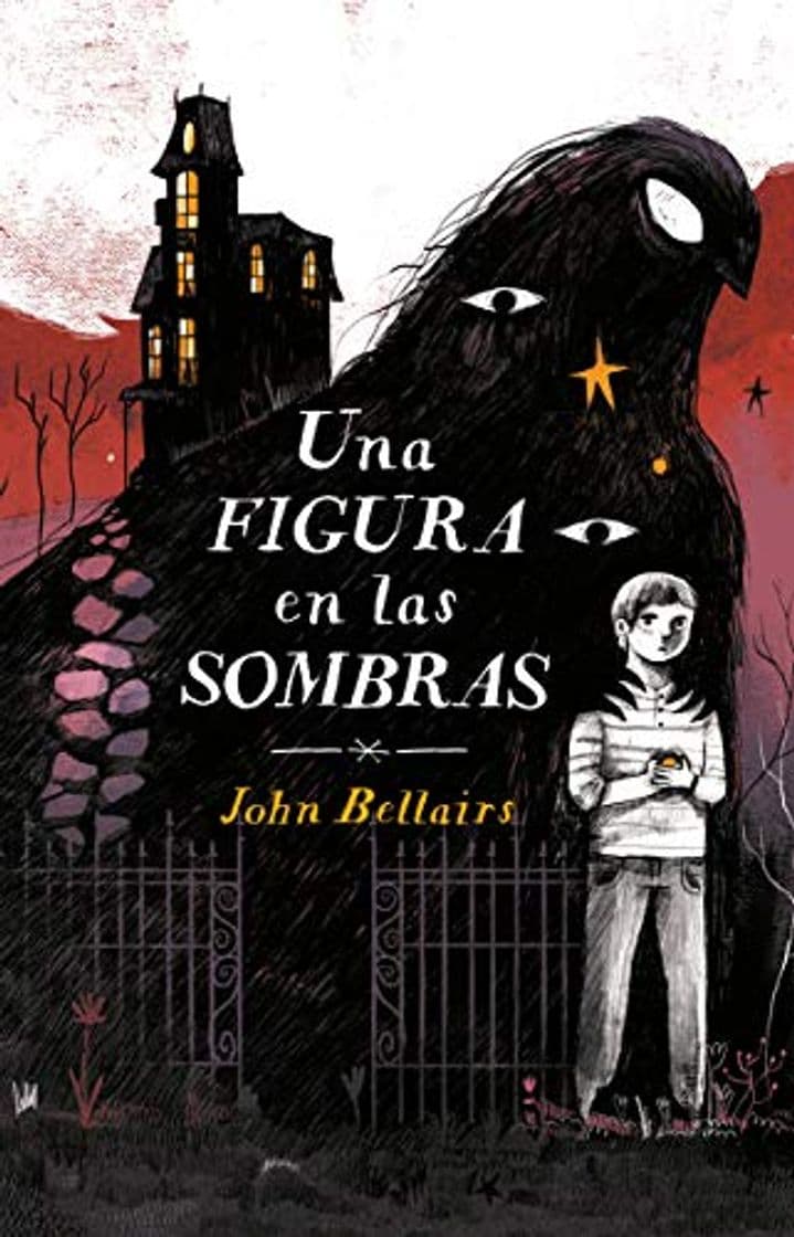 Libro Una Figura En Las Sombras / The Figure in the Shadows