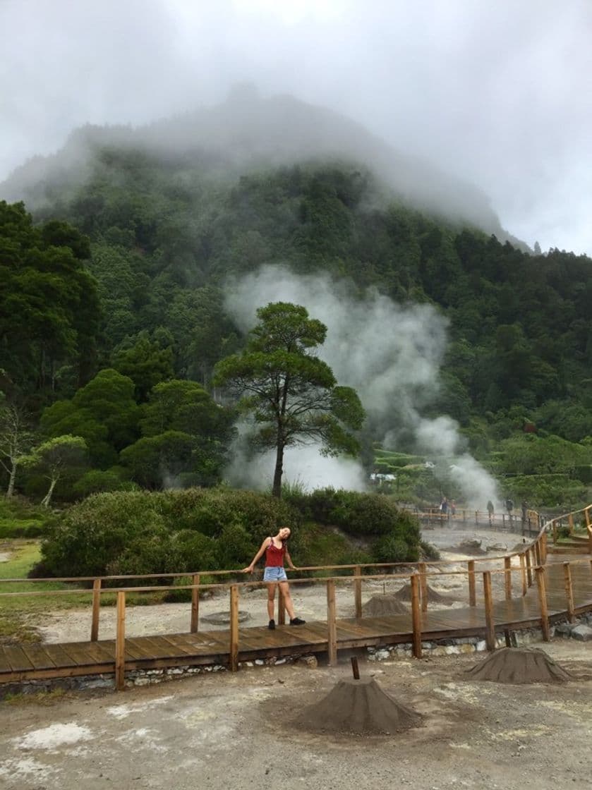 Place Furnas