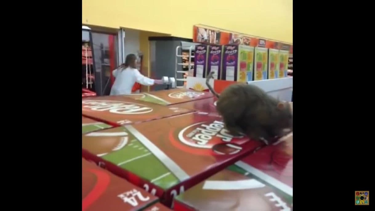 Fashion Walmart Rat Scare