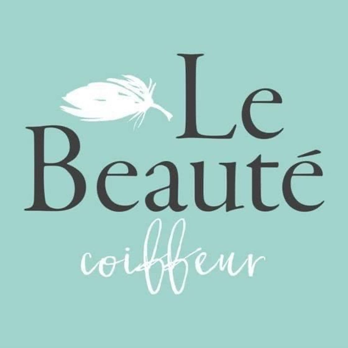 Place Le Beauté Coiffeur