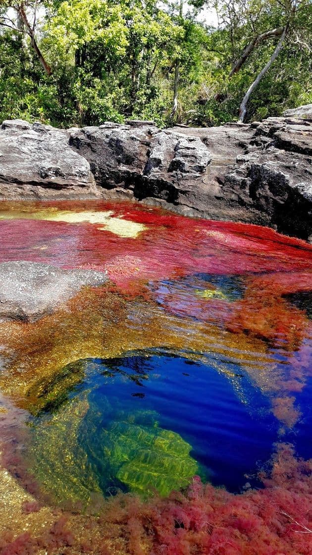 Lugar Caño Cristales