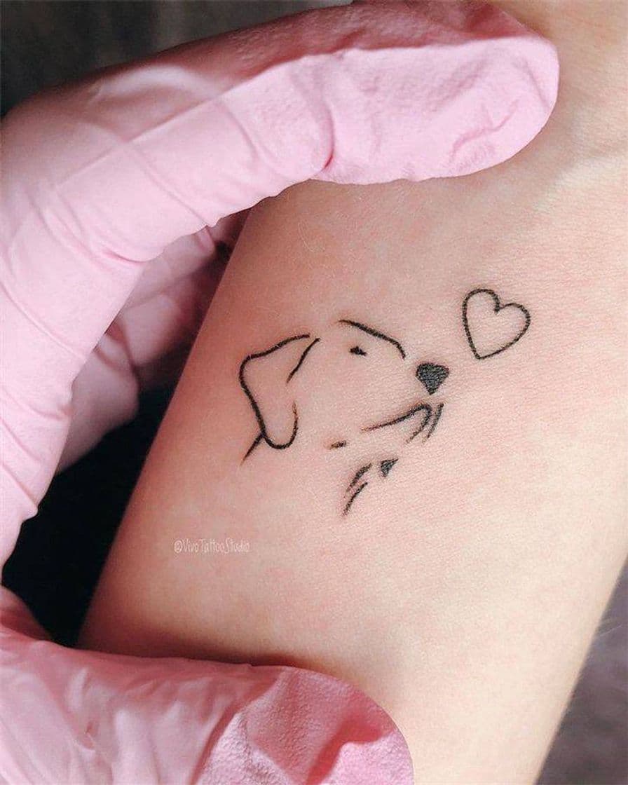 Moda Tatoo pet❤️