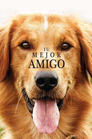 Película A Dog's Purpose