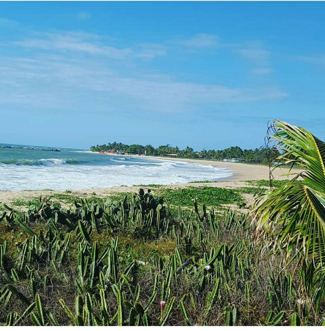 Lugar Itacimirim Beach