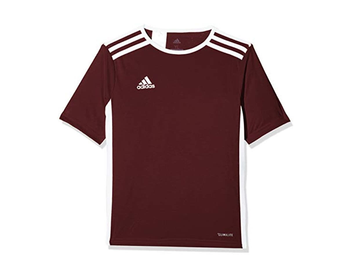 Producto adidas Entrada 18 JSY Jersey de Fútbol de Manga Corta, Hombre, Marrón