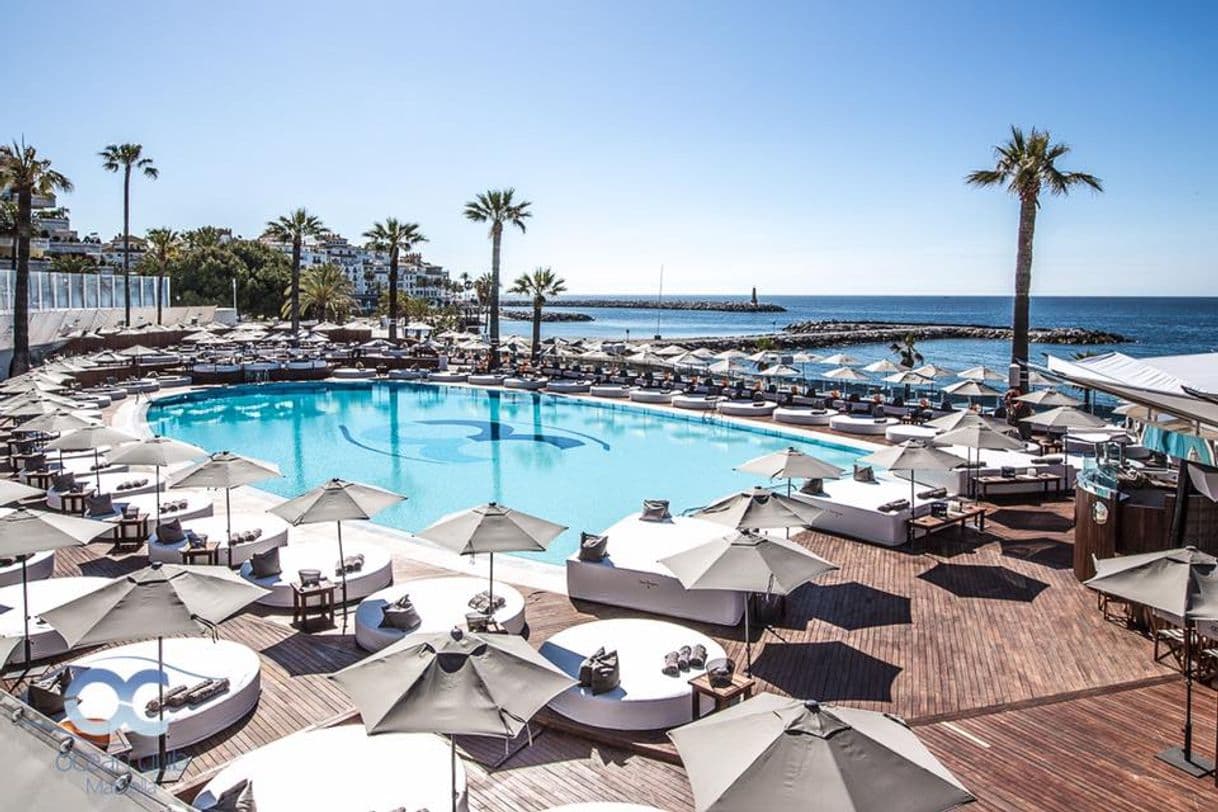 Restaurantes Ocean Club Marbella