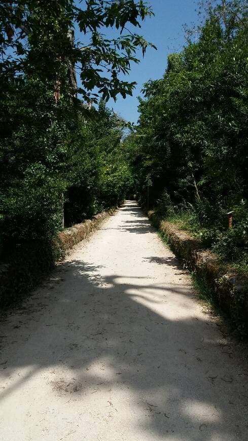 Lugar Serra do Buçaco