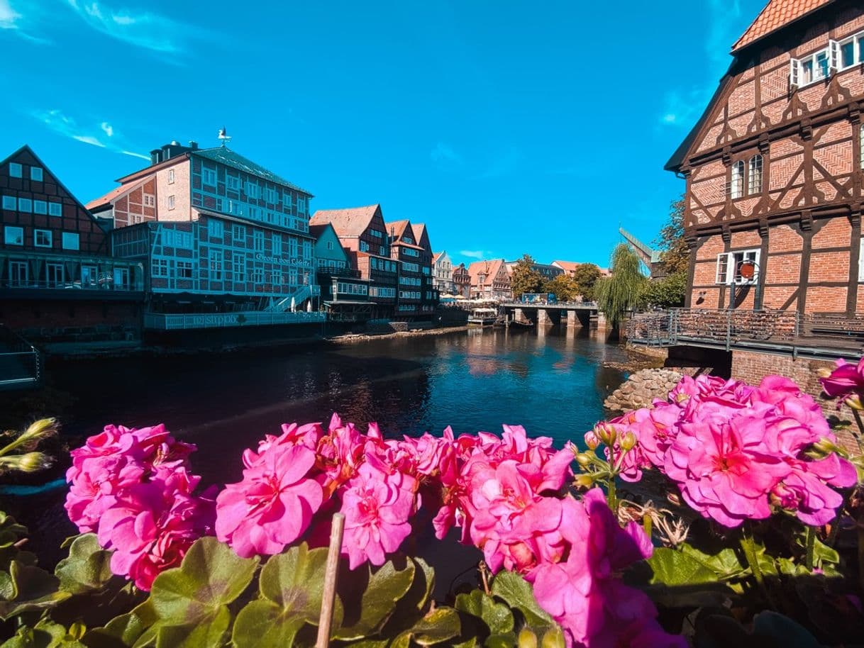 Place Bergström Hotel Lüneburg