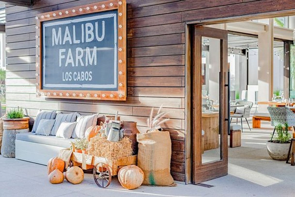 Restaurantes Malibu Farm Restaurant