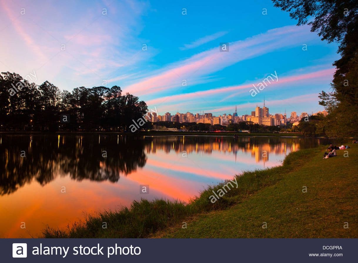 Place Parque Ibirapuera