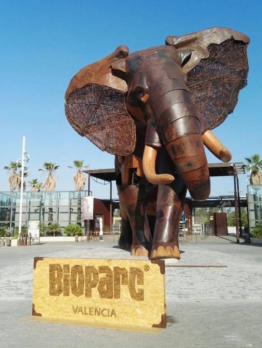 Lugar Bioparc Valencia