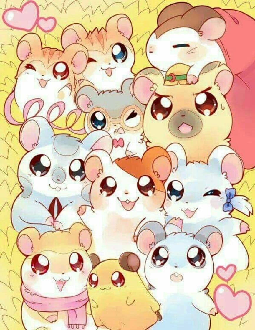 Serie Hamtaro