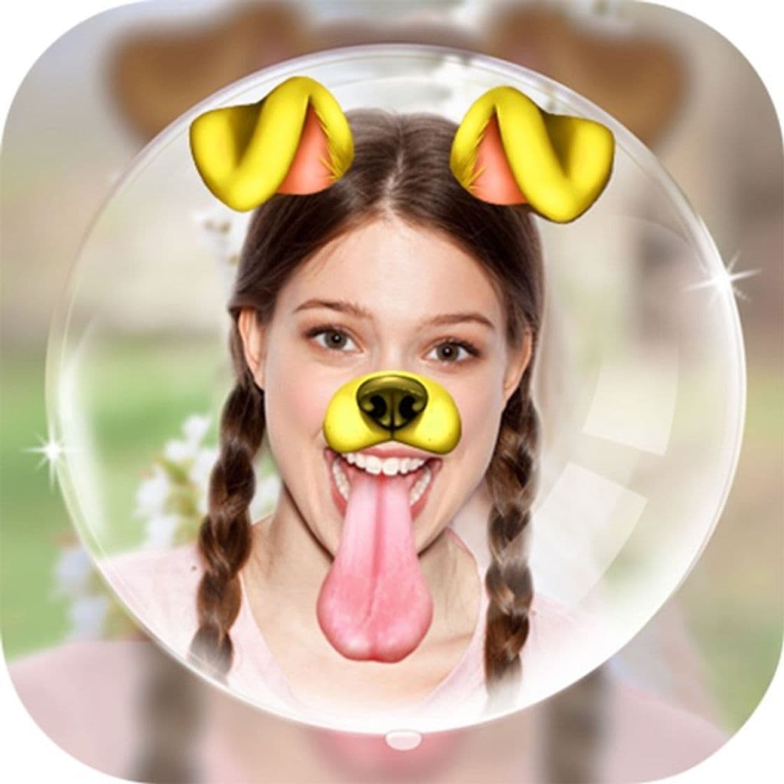 Place Doggy Face Filter Snappy Photo