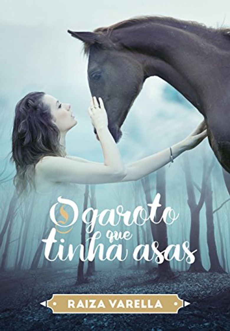 Libro O Garoto que tinha asas