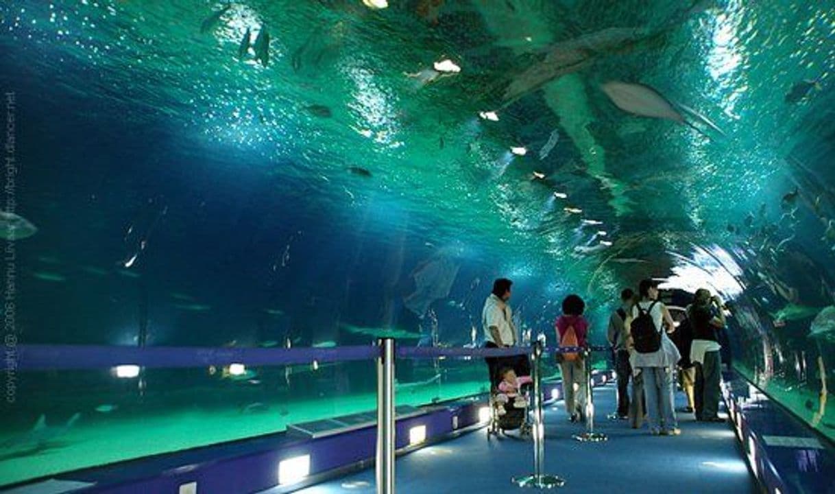 Lugar SEA LIFE Porto