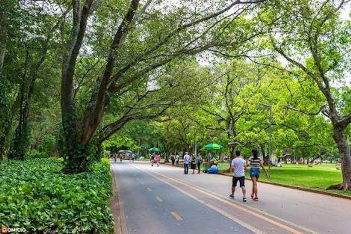 Lugar Ibirapuera