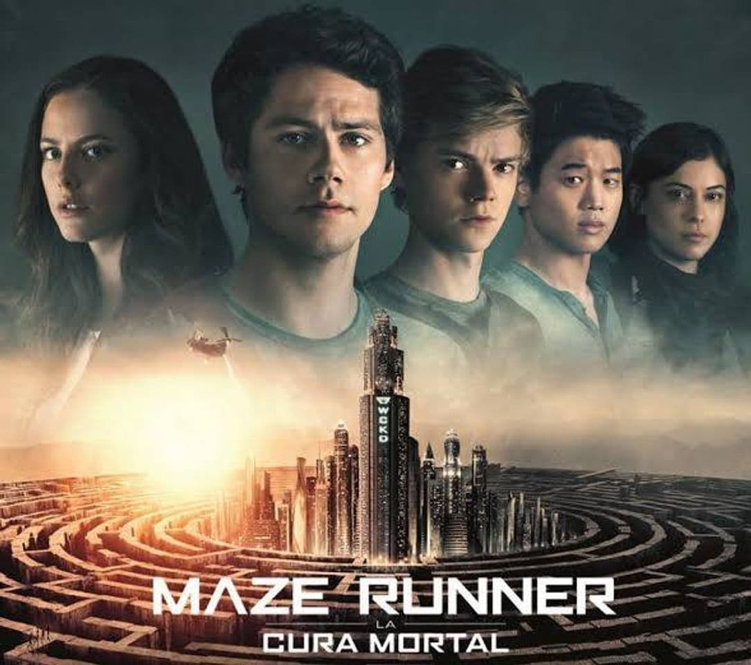 Película The Maze Runner