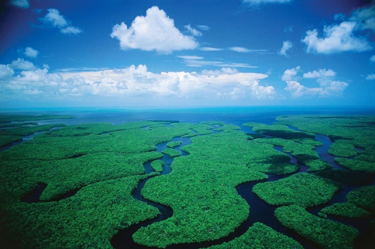 Lugar Everglades