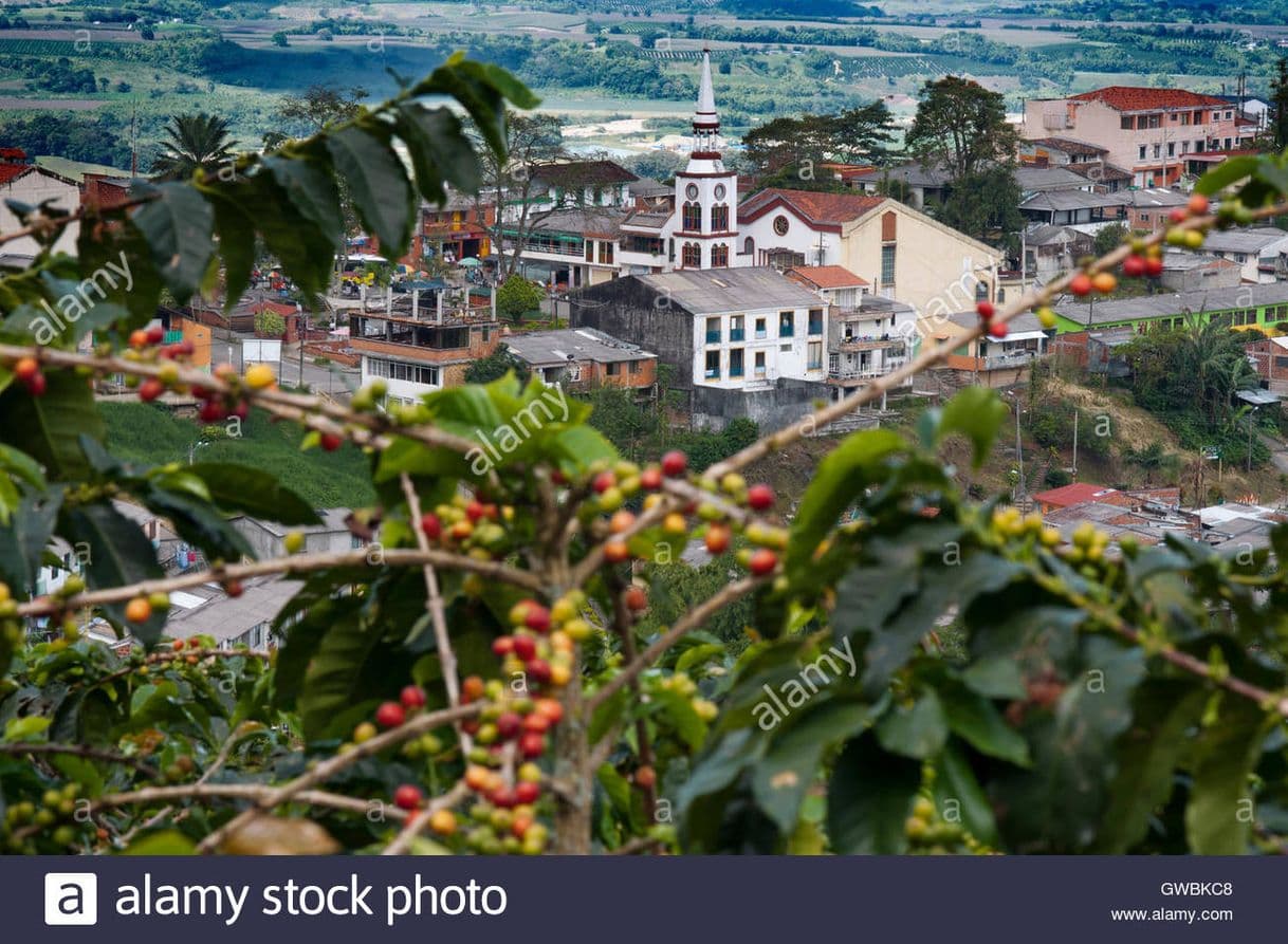 Place Quindío