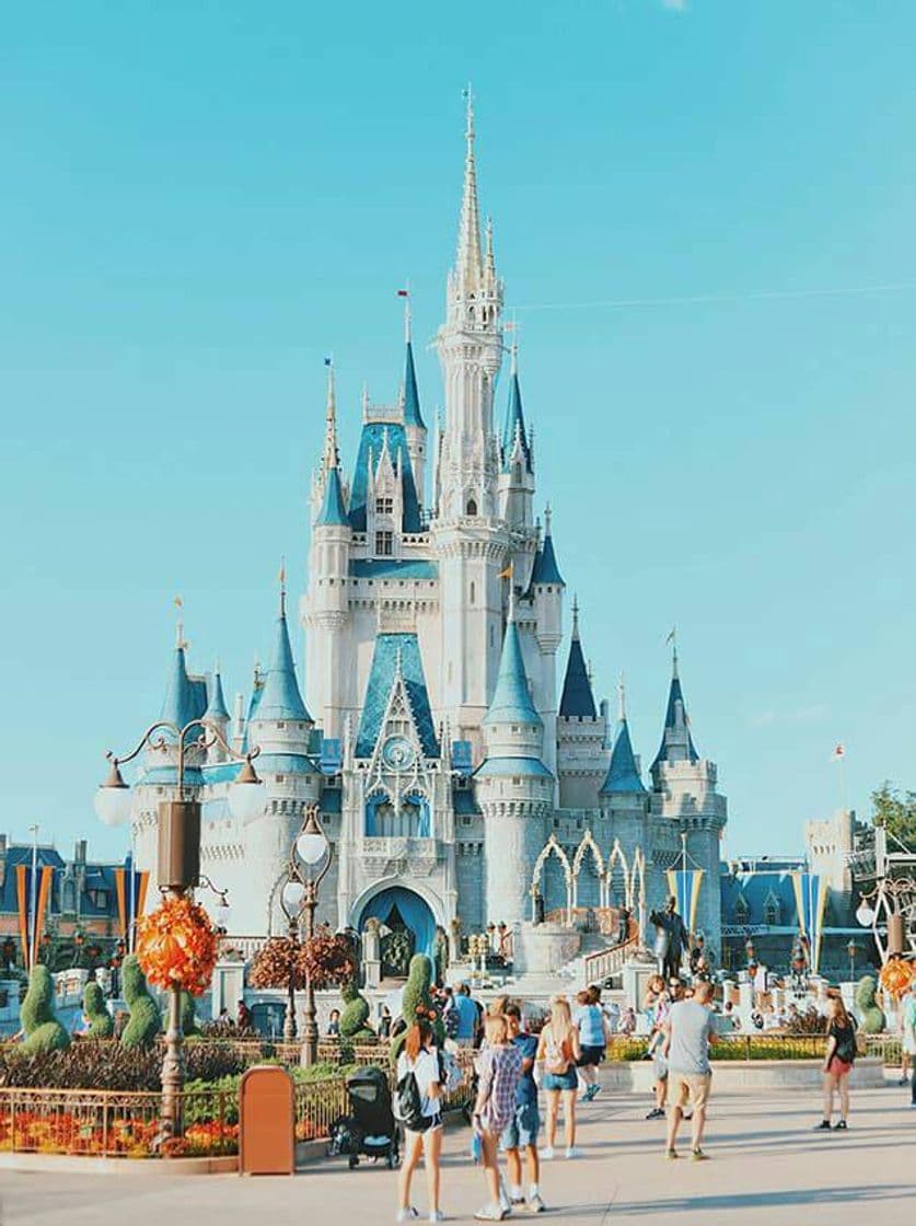 Place Disney World