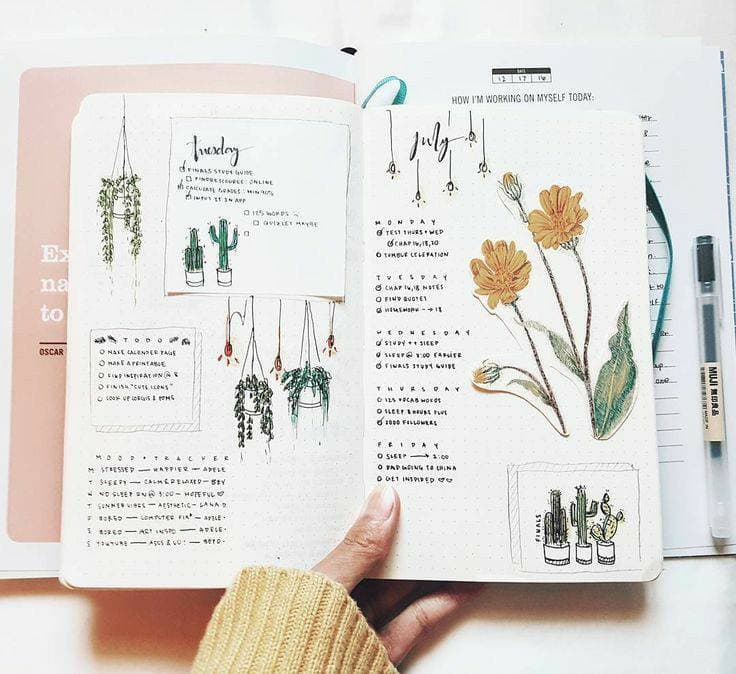 Moda Bullet Journal