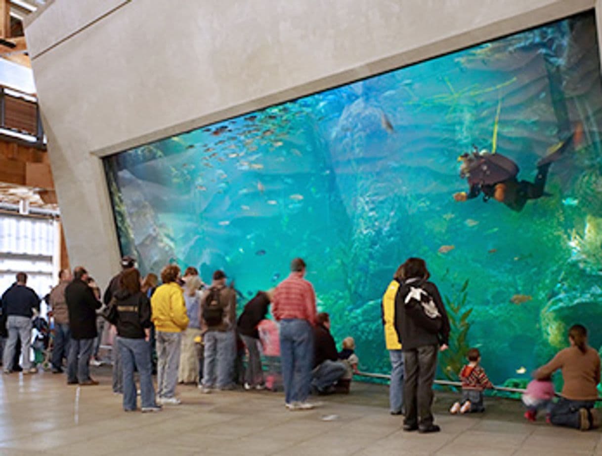 Lugar Seattle Aquarium