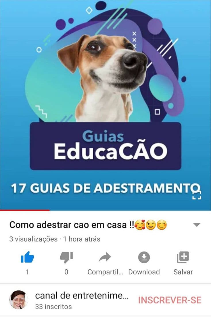 Moda Como adestrar seu cão em casa 