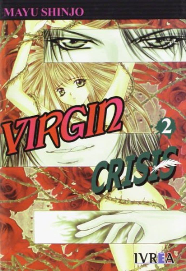 Book VIRGIN CRISIS 2