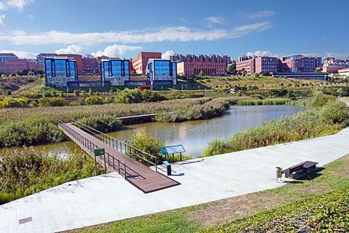 Place Parque de la Vaguada de Las Llamas