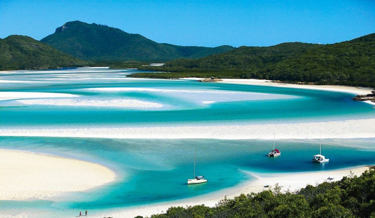 Lugar Whitehaven Beach