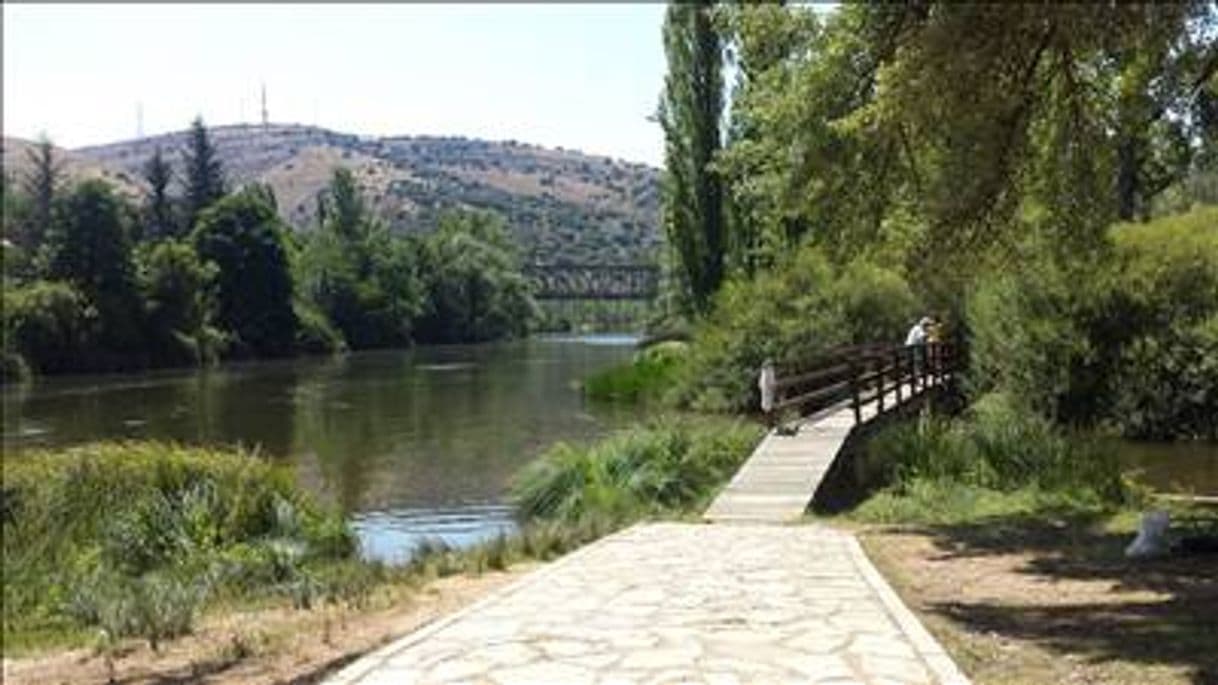 Moda Márgenes del Duero, Soria