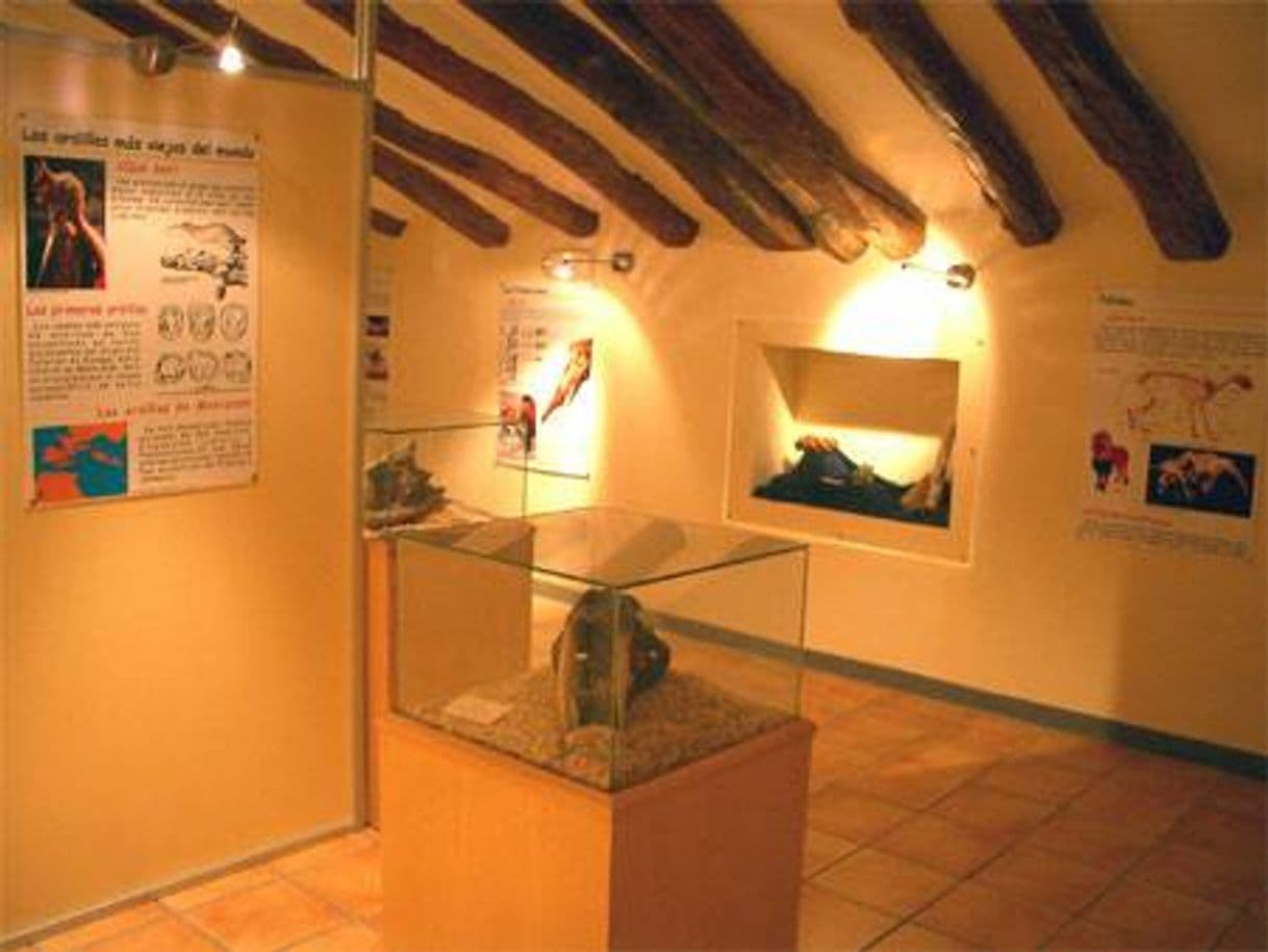 Moda C.I. Paleontología