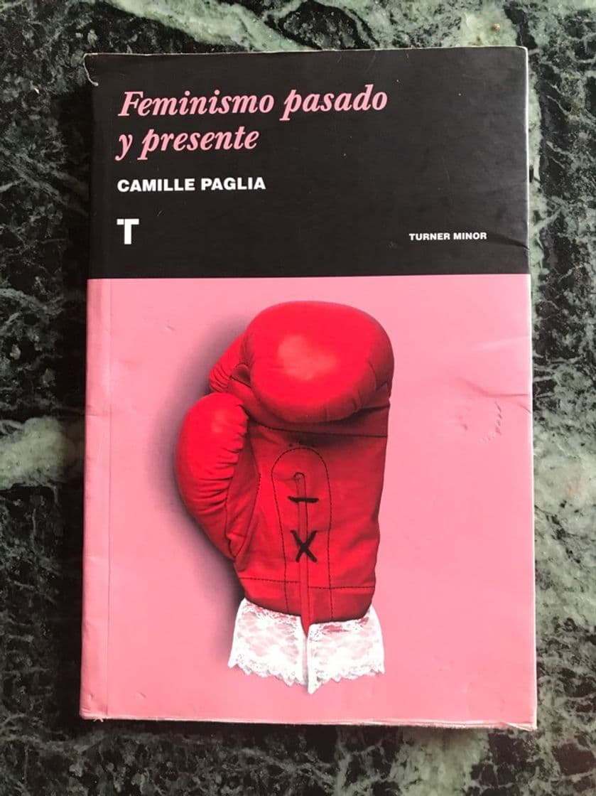 Book Feminismo pasado y presente